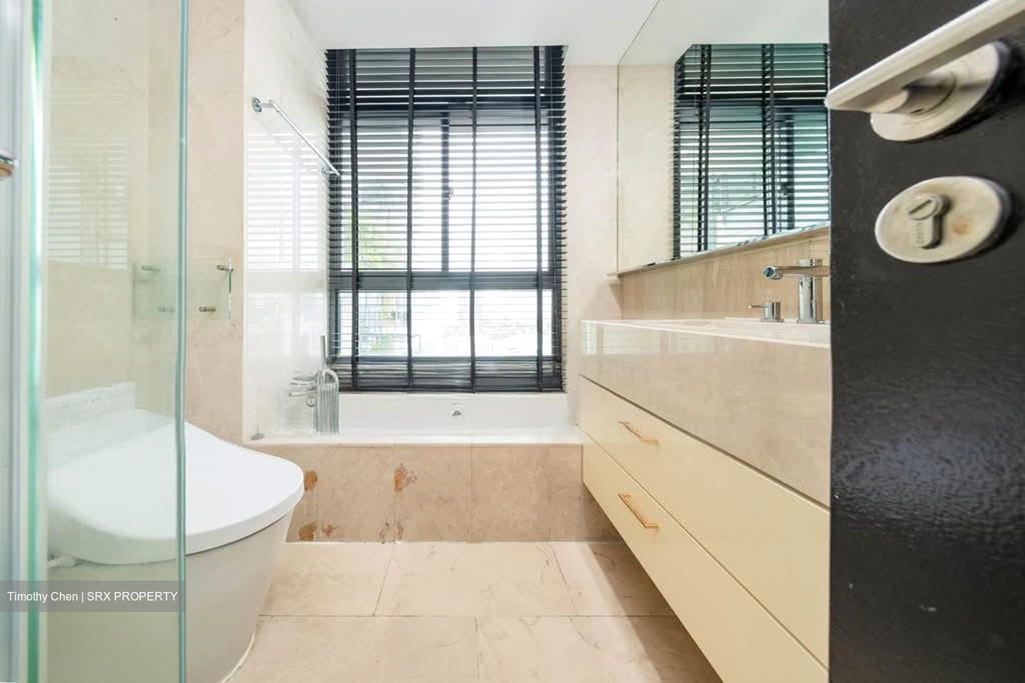 RiverGate (D9), Apartment #558993371